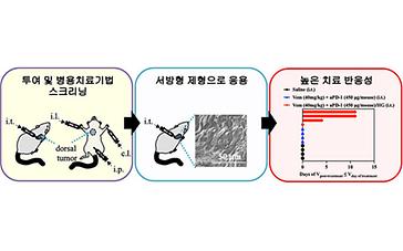 연세소식 이미지