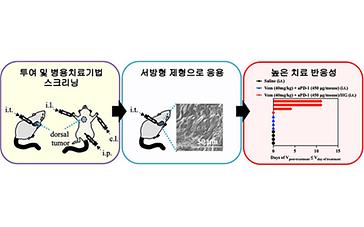 연세소식 이미지