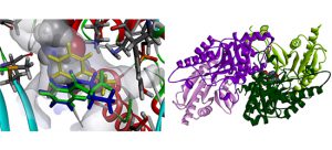 A Novel Method of Active Site Redesign for Amine-based Drug Production