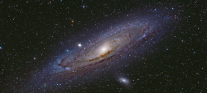 A river runs through it: galaxy behavior under environmental mechanisms