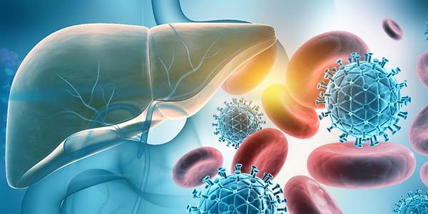 Conquering hepatitis B virus infection and liver cancer with structural insights into receptor protein