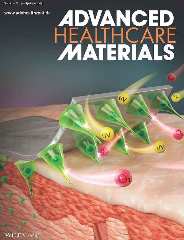 Egg Microneedle for Delivering Liraglutide to Treat Type 2 Diabetes