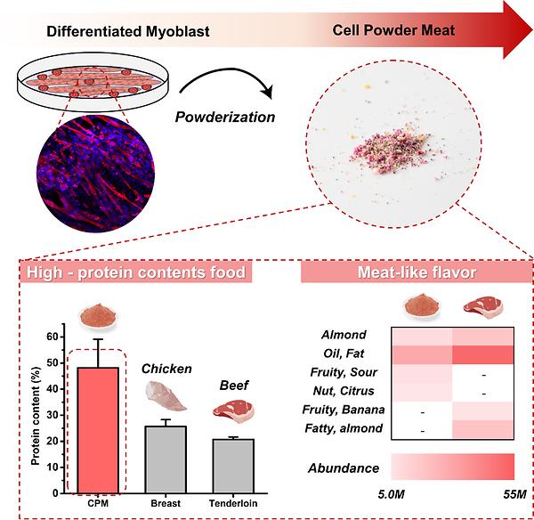 Prof. Hong’s Research Team Developed High Protein-Containing Food Based on Cell Powder Meat