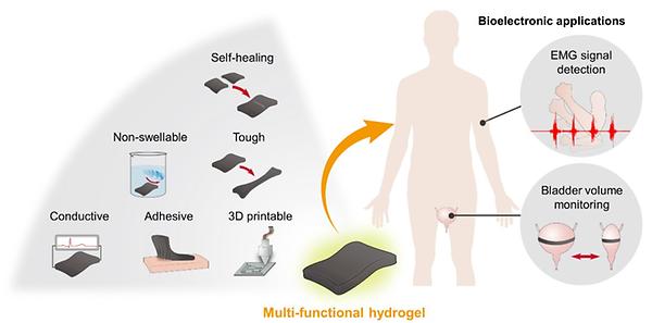 New Multifunctional Hydrogel for Tissue-Adaptable Bioelectronics