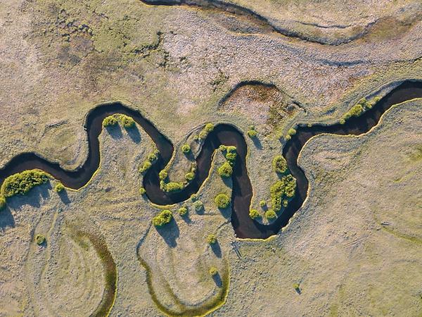 Unraveling the Mysteries of Meandering River Patterns: Insights from Earth and Mars