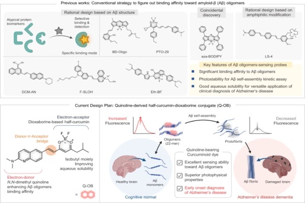 A Fluorescent Probe for the Early Diagnosis of Alzheimer’s Disease Developed