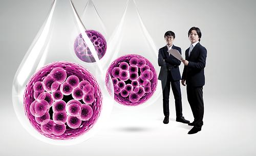 Develops Platform for Mass-Producing 3D Stem Cell Spheroids