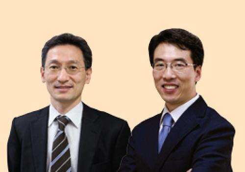 Professor Shin Jeon-soo and Professor Cheon Jin-woo’s Joint Research Team Publishes Research Results in Nature Materials