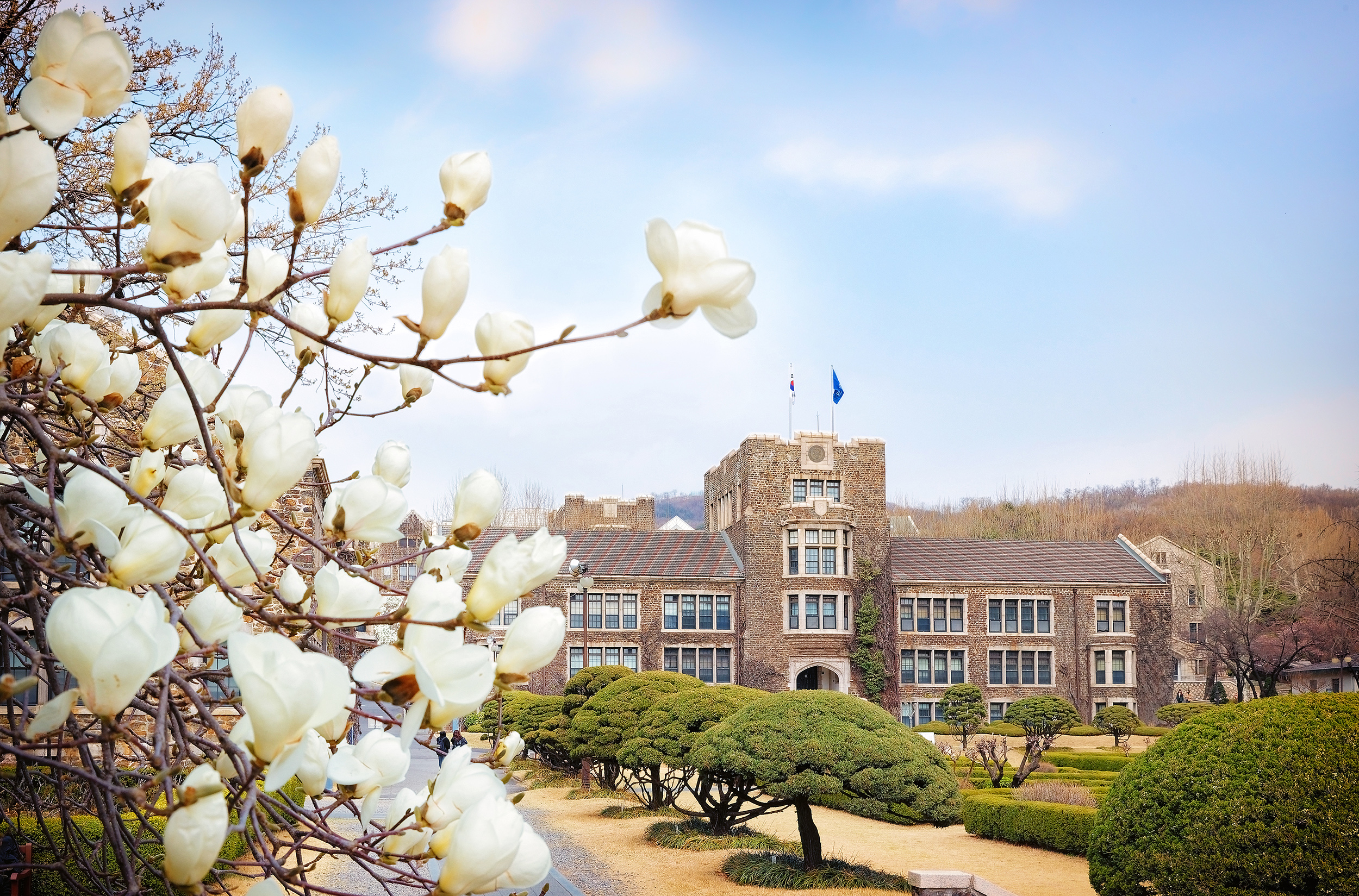 [2025. 3. 31.] 연세대, 산불 피해 재학생에 긴급 장학금 지원